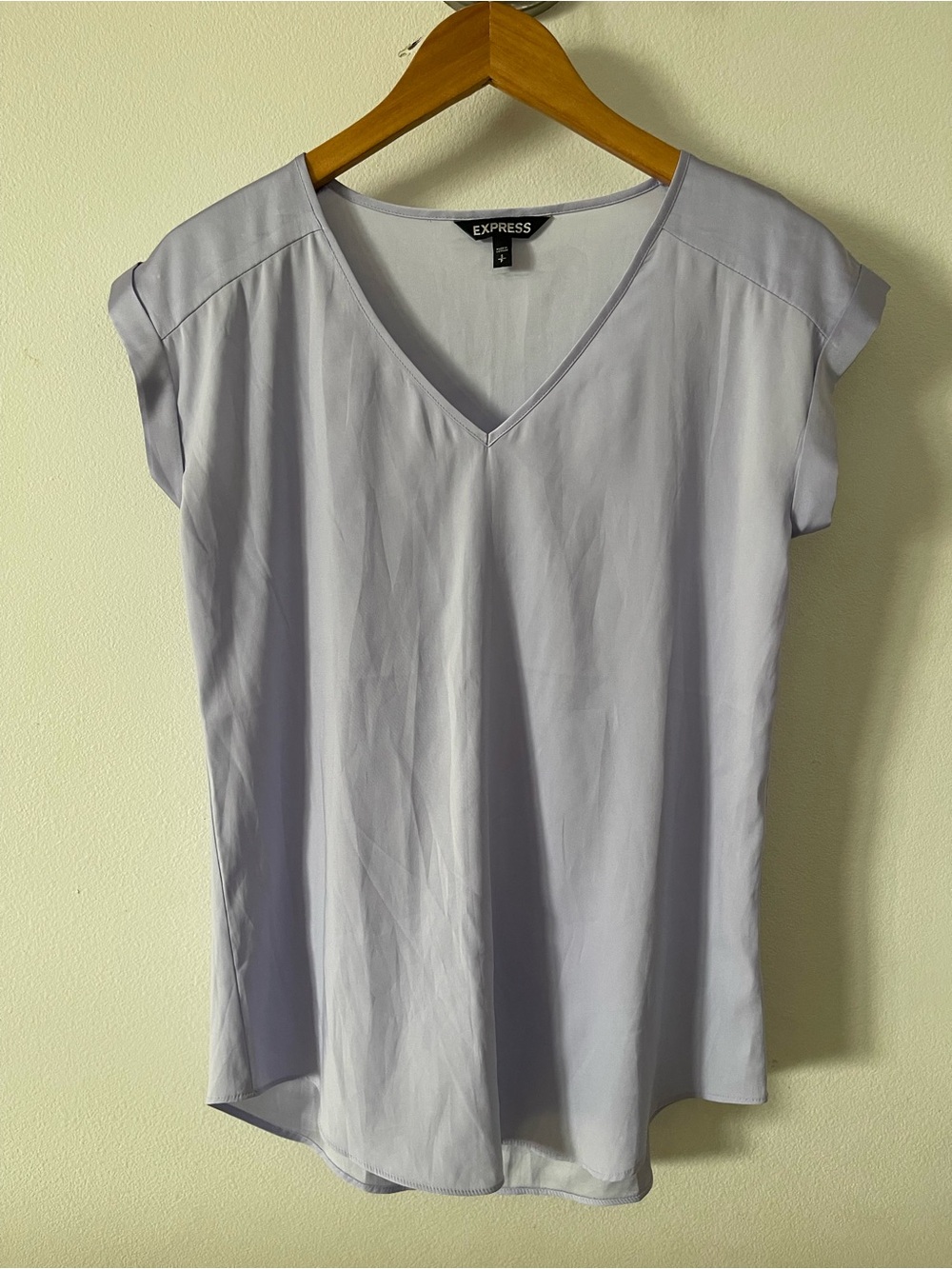 Express Women's Icy Lavender V-Neck Blouse Sz S